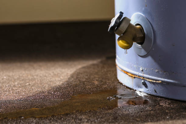 Trusted Mineral Springs, AR Water damage restoration Experts