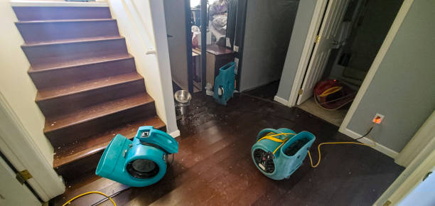 Best Water damage contractors near me  in Mineral Springs, AR