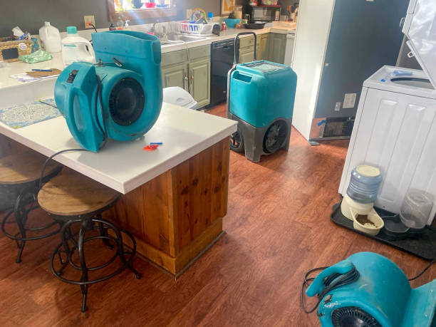 Best Professional water damage repair  in Mineral Springs, AR