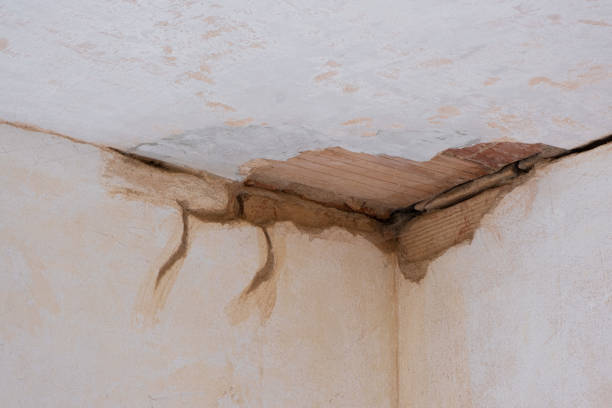 Best Basement water damage restoration  in Mineral Springs, AR