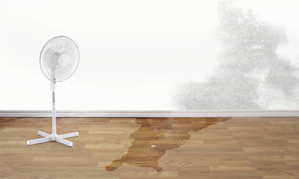 Best Commercial water damage restoration  in Mineral Springs, AR